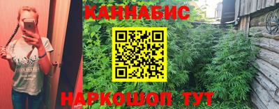 гидра Гагарин