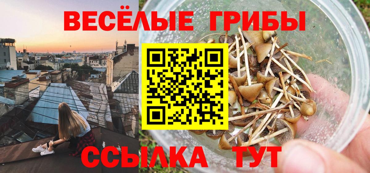 Псилоцибиновые грибы Magic Shrooms Тобольск